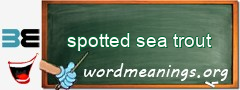 WordMeaning blackboard for spotted sea trout